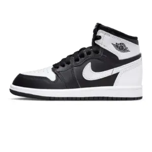 Air jordan 1 retro - fd1412 010