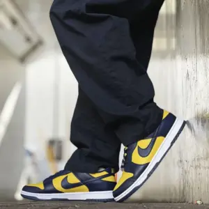 Nike dunk low michigan - cw1590 700